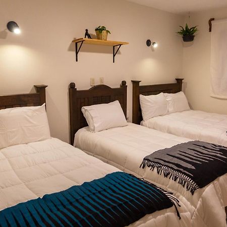 Casa Venus Otel San Cristóbal de Las Casas Dış mekan fotoğraf