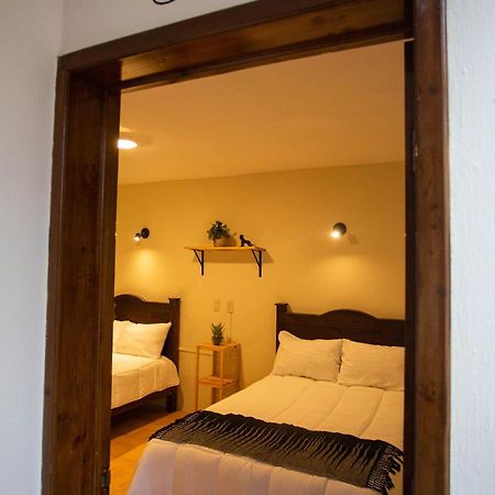 Casa Venus Otel San Cristóbal de Las Casas Dış mekan fotoğraf