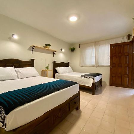 Casa Venus Otel San Cristóbal de Las Casas Dış mekan fotoğraf
