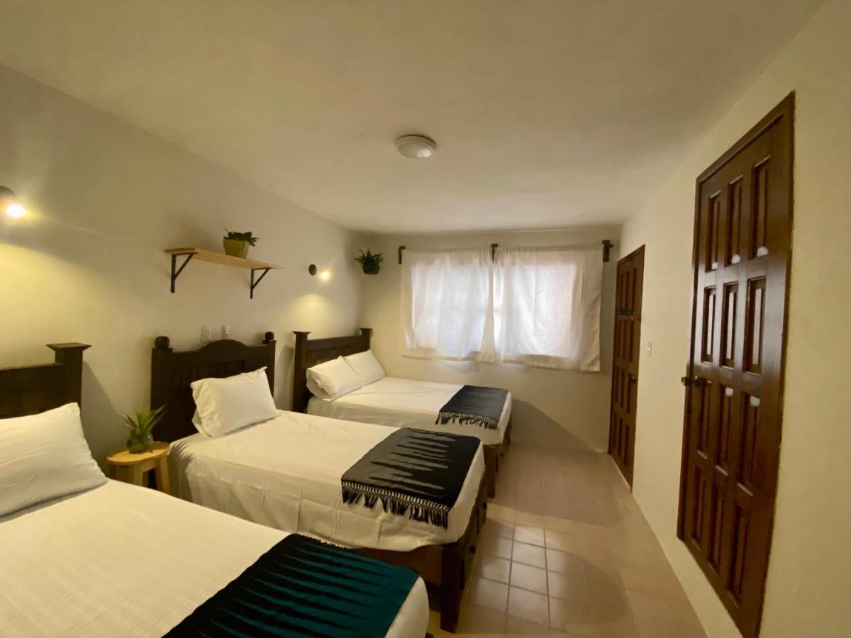 Casa Venus Otel San Cristóbal de Las Casas Dış mekan fotoğraf