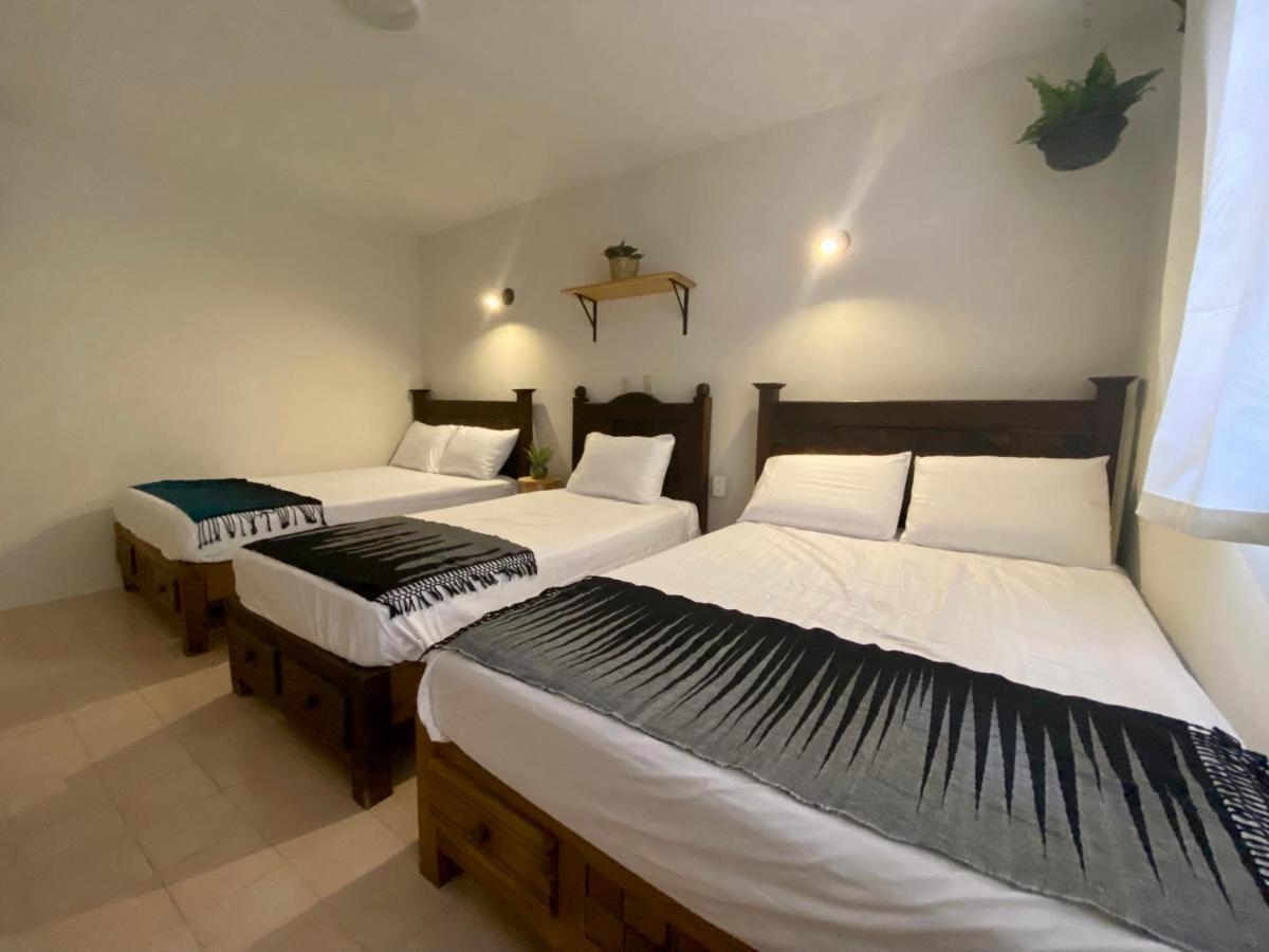 Casa Venus Otel San Cristóbal de Las Casas Dış mekan fotoğraf
