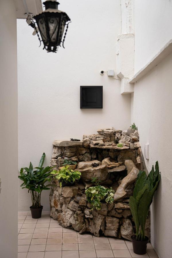 Casa Venus Otel San Cristóbal de Las Casas Dış mekan fotoğraf