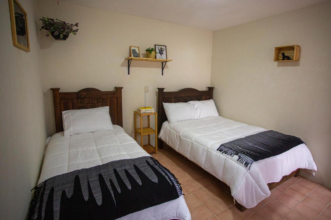Casa Venus Otel San Cristóbal de Las Casas Dış mekan fotoğraf