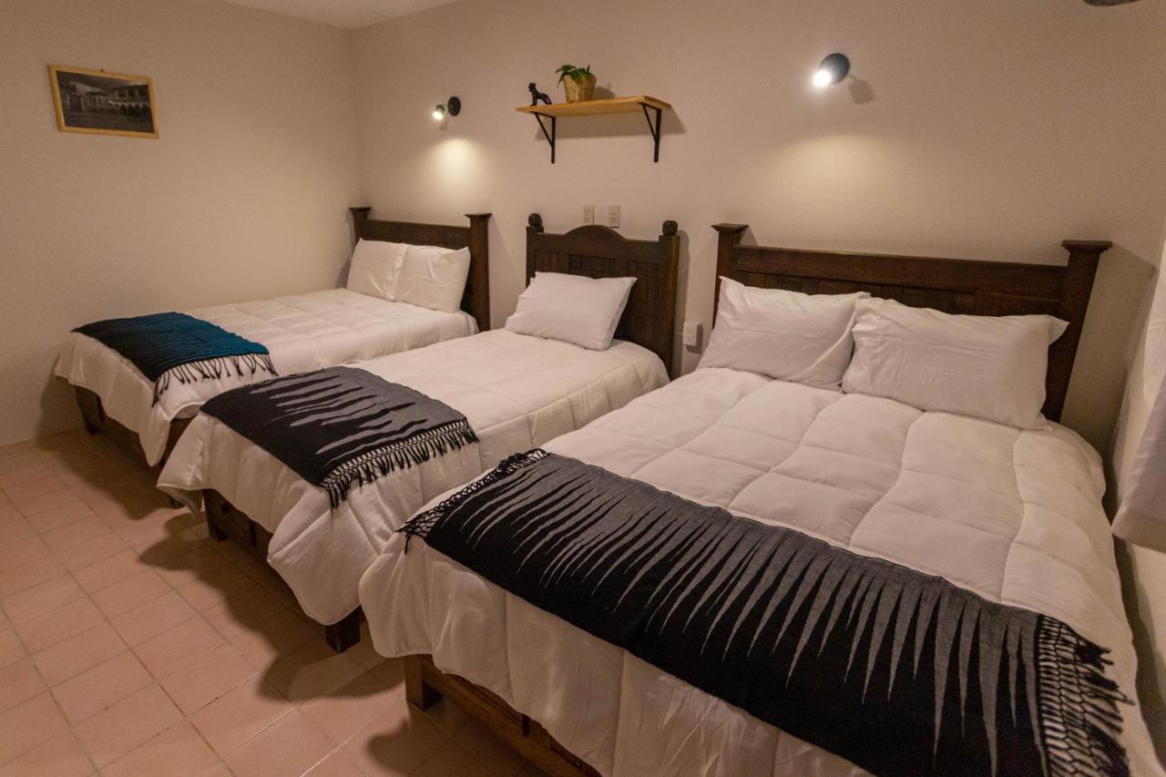 Casa Venus Otel San Cristóbal de Las Casas Dış mekan fotoğraf