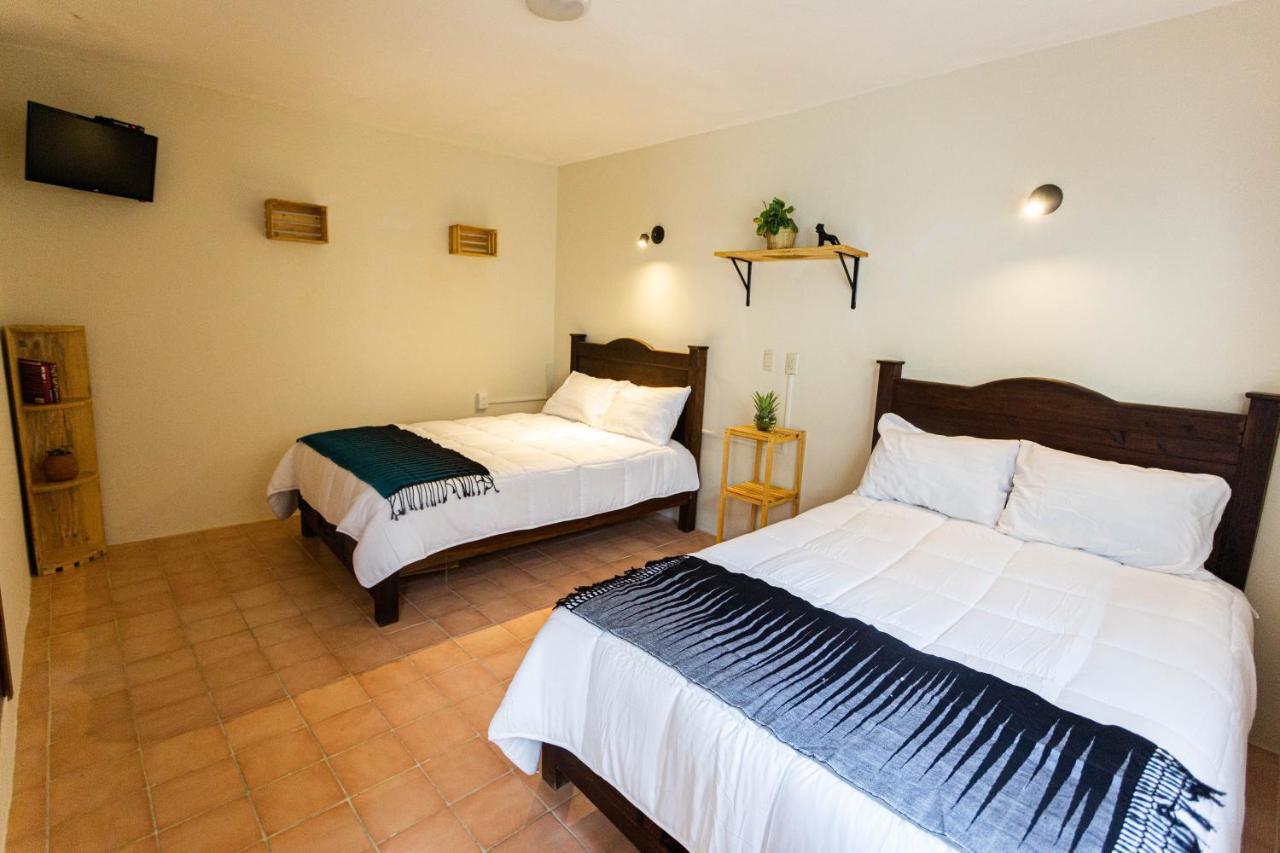 Casa Venus Otel San Cristóbal de Las Casas Dış mekan fotoğraf