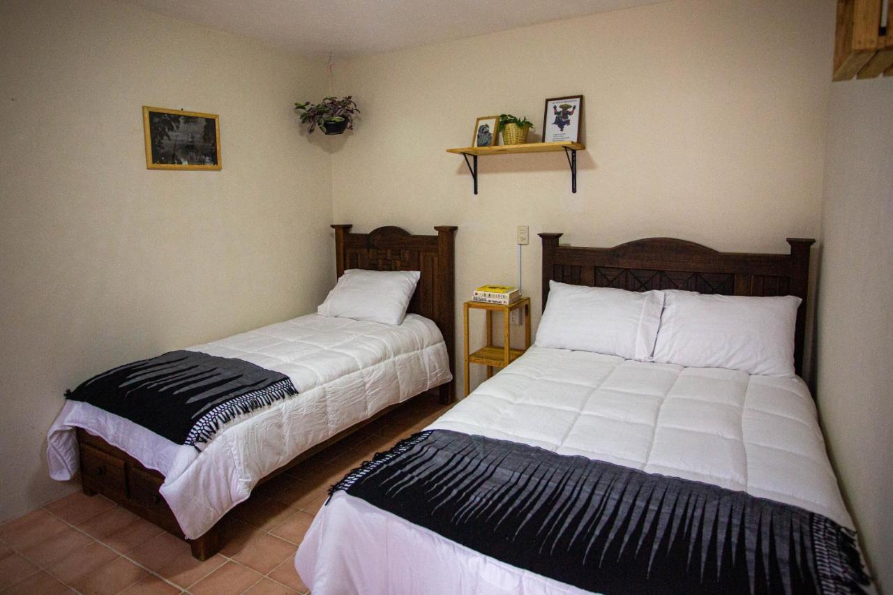 Casa Venus Otel San Cristóbal de Las Casas Dış mekan fotoğraf